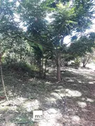 Fazenda / Sítio / Chácara com 3 Quartos à venda, 605m² no Zona Rural, Ouro Verde de Goiás - Foto 31