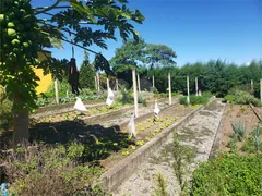 Fazenda / Sítio / Chácara com 4 Quartos à venda, 33000m² no Area Rural de Mogi das Cruzes, Mogi das Cruzes - Foto 30