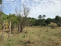 Fazenda / Sítio / Chácara com 3 Quartos à venda, 120m² no Zona Rural, Pirenópolis - Foto 48