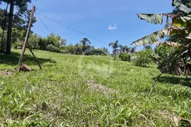 Fazenda / Sítio / Chácara com 2 Quartos à venda, 150m² no Bocaiuva Do Sul, Bocaiúva do Sul - Foto 3