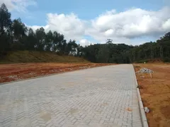 Terreno / Lote / Condomínio à venda, 367m² no Sao Joao, Brusque - Foto 6