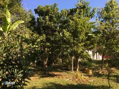 Fazenda / Sítio / Chácara com 3 Quartos à venda, 200m² no Bananal, Campinas - Foto 27