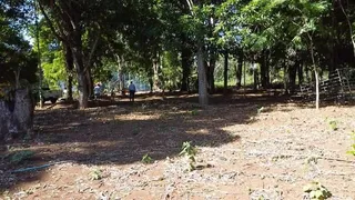 Fazenda / Sítio / Chácara com 3 Quartos à venda, 4400000m² no Lago Norte, Brasília - Foto 12