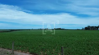 Fazenda / Sítio / Chácara à venda, 1600000m² no Zona Rural, Perdizes - Foto 10