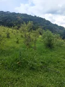 Terreno / Lote / Condomínio à venda, 49000m² no Zona Rural, Camanducaia - Foto 1