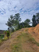 Fazenda / Sítio / Chácara à venda, 30000m² no Santa Cruz, Santo Antônio do Pinhal - Foto 6