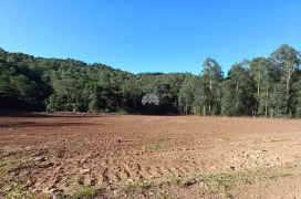 Fazenda / Sítio / Chácara à venda, 30000m² no Zona Rural, Pato Branco - Foto 16
