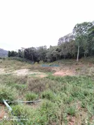Fazenda / Sítio / Chácara com 2 Quartos à venda, 152000m² no Serra, Teresópolis - Foto 22