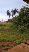 Fazenda / Sítio / Chácara com 1 Quarto à venda, 120m² no Tubalina, Uberlândia - Foto 5