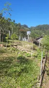 Fazenda / Sítio / Chácara com 2 Quartos à venda, 1000m² no , São João Batista - Foto 6