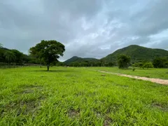 Fazenda / Sítio / Chácara com 3 Quartos à venda no Fronteira, Santo Antônio do Leverger - Foto 1