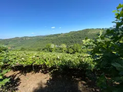 Terreno / Lote / Condomínio à venda, 150000m² no Vale dos Vinhedos, Bento Gonçalves - Foto 24