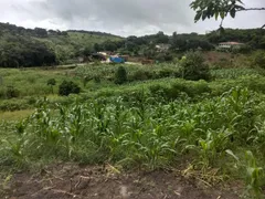 Fazenda / Sítio / Chácara com 2 Quartos à venda, 2500m² no Area Rural de Vitoria do Santo Antao, Vitória de Santo Antão - Foto 31