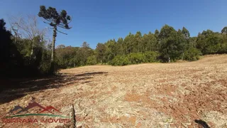 Terreno / Lote / Condomínio à venda, 50000m² no Linha Brasil, Nova Petrópolis - Foto 15