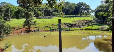 Fazenda / Sítio / Chácara à venda, 251500m² no Iguipora, Marechal Cândido Rondon - Foto 1