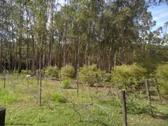 Fazenda / Sítio / Chácara com 5 Quartos à venda, 36400m² no Pavão-Canguera, São Roque - Foto 33