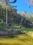 Fazenda / Sítio / Chácara com 1 Quarto à venda, 20000m² no Zona Rural, Urubici - Foto 22