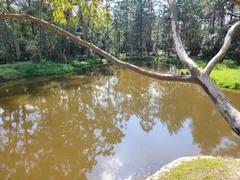 Fazenda / Sítio / Chácara com 4 Quartos à venda, 1900m² no São Roque, São Roque - Foto 21