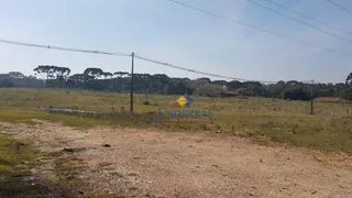 Terreno / Lote / Condomínio à venda, 114950m² no Roseira, São José dos Pinhais - Foto 1