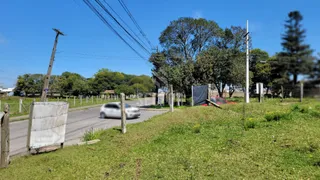Terreno / Lote Comercial para alugar, 20000m² no Rio Pequeno, São José dos Pinhais - Foto 9