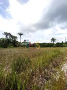 Terreno / Lote / Condomínio à venda, 250m² no Iguape, Ilhéus - Foto 1
