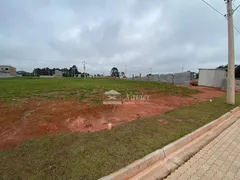 Terreno / Lote / Condomínio à venda, 200m² no Jardim São Luiz, Cotia - Foto 4