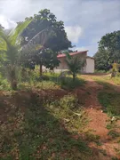 Fazenda / Sítio / Chácara com 3 Quartos à venda, 20540m² no Setor Central , Bela Vista de Goiás - Foto 26