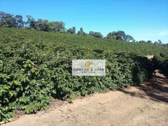 Fazenda / Sítio / Chácara à venda, 1111111m² no Zona Rural, Campanha - Foto 24