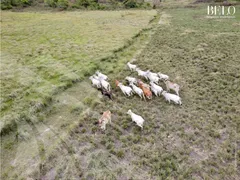 Fazenda / Sítio / Chácara à venda, 3800000m² no Zona Rural, Bonito - Foto 10