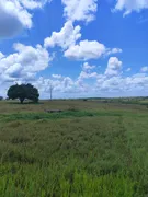 Fazenda / Sítio / Chácara com 2 Quartos à venda, 2000m² no , Monte Alegre - Foto 1