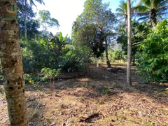 Fazenda / Sítio / Chácara com 3 Quartos à venda, 1000m² no Baia Nova, Guarapari - Foto 9
