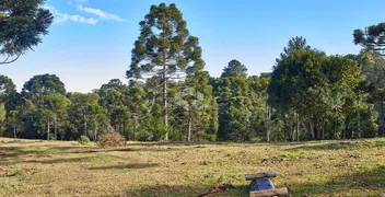 Casa de Condomínio com 1 Quarto à venda, 420m² no São Bernardo, São Francisco de Paula - Foto 5