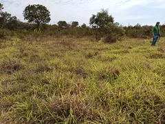 Fazenda / Sítio / Chácara com 1 Quarto à venda, 61000000m² no Vale do Sol, Campo Verde - Foto 5