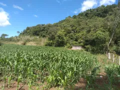 Terreno / Lote / Condomínio à venda, 21147m² no Centro, Linha Nova - Foto 6