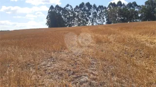 Fazenda / Sítio / Chácara com 1 Quarto à venda, 242000m² no Centro, Turvolândia - Foto 3