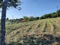 Terreno / Lote / Condomínio à venda, 1242m² no , Porangaba - Foto 3