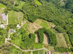 Fazenda / Sítio / Chácara à venda, 196800m² no Linha 28, Gramado - Foto 5