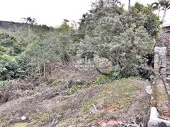 Terreno / Lote Comercial à venda, 730m² no Sao Miguel, Biguaçu - Foto 13