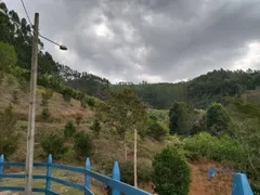 Fazenda / Sítio / Chácara à venda, 1390000m² no Taruacu, São João Nepomuceno - Foto 15