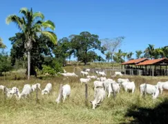 Fazenda / Sítio / Chácara com 2 Quartos à venda, 158m² no Zona Rural, Colinas do Sul - Foto 6