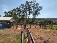 Fazenda / Sítio / Chácara com 3 Quartos à venda, 90m² no Zona Rural, Jaraguá - Foto 9