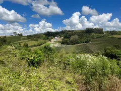 Terreno / Lote / Condomínio à venda, 10000m² no Vale dos Vinhedos, Bento Gonçalves - Foto 31