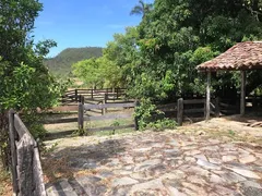 Fazenda / Sítio / Chácara com 3 Quartos à venda, 120m² no Zona Rural, Pirenópolis - Foto 32