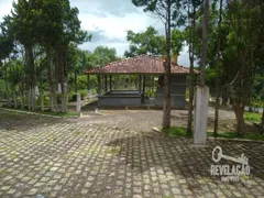 Fazenda / Sítio / Chácara com 3 Quartos à venda, 36300m² no Roça Velha, São José dos Pinhais - Foto 8