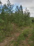 Terreno / Lote / Condomínio à venda, 250500m² no Zona Rural, Encruzilhada do Sul - Foto 2