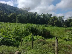 Terreno / Lote Comercial à venda, 19720m² no Penedo, Itatiaia - Foto 9