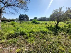 Terreno / Lote Comercial para alugar, 48000m² no Jardim Santa Maria, Jacareí - Foto 21