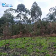 Terreno / Lote / Condomínio à venda, 5000m² no , Pirapora do Bom Jesus - Foto 1