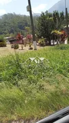 Fazenda / Sítio / Chácara com 3 Quartos à venda, 300m² no Fazenda Inglesa, Petrópolis - Foto 7