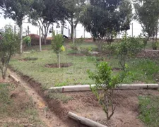 Fazenda / Sítio / Chácara com 3 Quartos à venda, 1000m² no Vila Menino Jesus, Caçapava - Foto 2